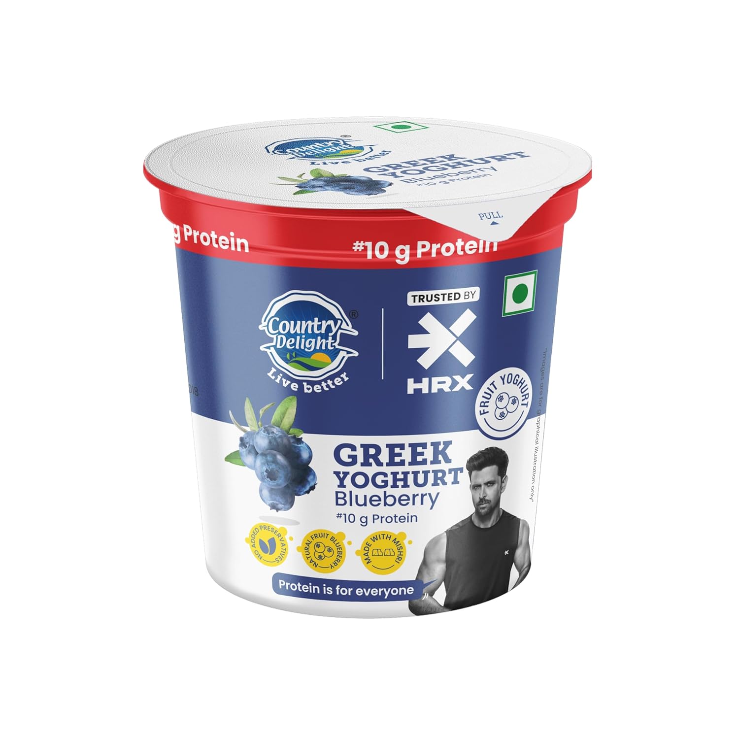 Country Delight 10g Protein Blueberry Greek Yoghurt – 100 g